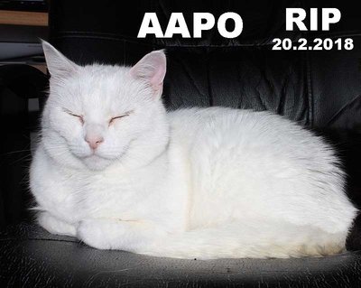 Aapo RIP 20.2.jpg